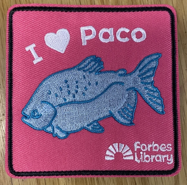 I heart paco iron on patch