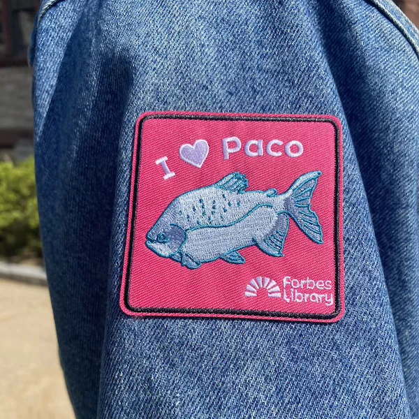 the patch in use on a jean jacket sleeve